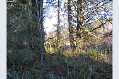 1478 E Hoquiam Rd, Hoquiam, WA 98550 - Photo 10