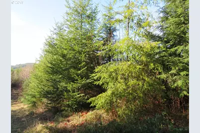 1478 E Hoquiam Rd, Hoquiam, WA 98550 - Photo 24