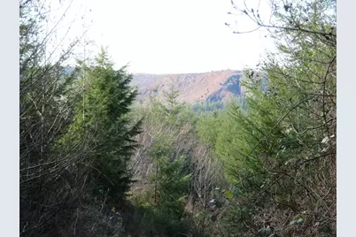 1478 E Hoquiam Rd, Hoquiam, WA 98550 - Photo 6