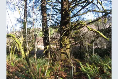 1478 E Hoquiam Rd, Hoquiam, WA 98550 - Photo 32