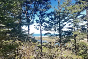 28687 Brooks Rd, Gold Beach, OR 97444 - Photo 2