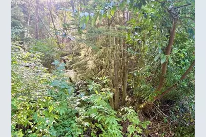 1 Cedar St, Wheeler, OR 97147 - Photo 2