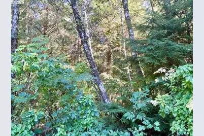 1 Cedar St, Wheeler, OR 97147 - Photo 4