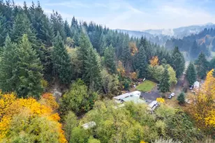 1586 King Rd, Winlock, WA 98596 - Photo 4