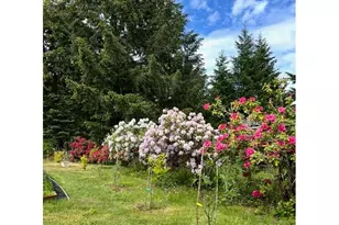 39494 May Way, Marcola, OR 97454 - Photo 42