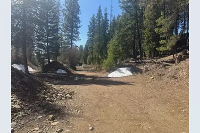 605 Sumpter Valley Hwy, Sumpter, OR 97877 - Photo 14