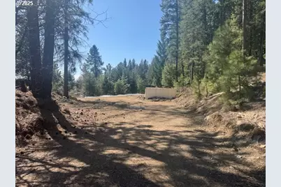 605 Sumpter Valley Hwy, Sumpter, OR 97877 - Photo 8