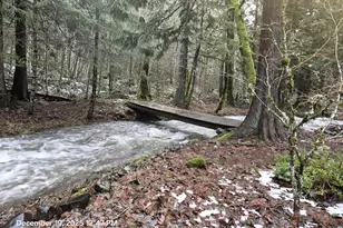 [Address not provided], Cook, WA 98605 - Photo 2