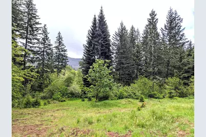 49244 Mountain View Rd, Oakridge, OR 97463 - Photo 28