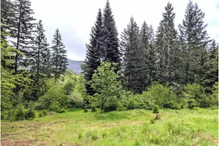 49244 Mountain View Rd, Oakridge, OR 97463 - Photo 28