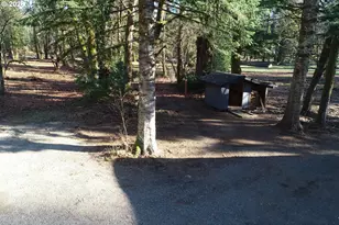 11839 Lewis River Rd, Ariel, WA 98603 - Photo 22