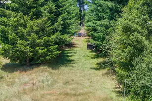 3805 Briar Knob Loop, Scotts Mills, OR 97375 - Photo 38