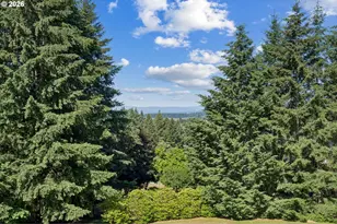 25560 NW Linnea Dr, Hillsboro, OR 97124 - Photo 26