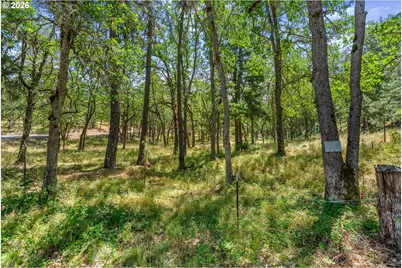 Nka Rowland Rd, Lyle, WA 98635 - Photo 10