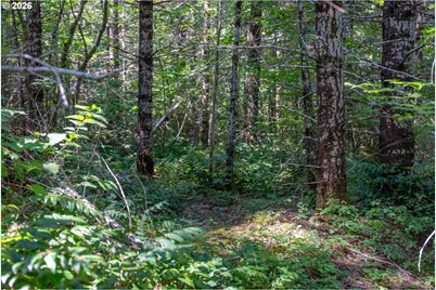 Hawk Meadows Rd #6, Carson, WA 98610 - Photo 18