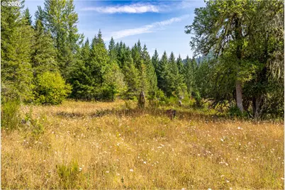 Hawk Meadows Rd #6, Carson, WA 98610 - Photo 10