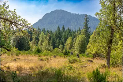 Hawk Meadows Rd #6, Carson, WA 98610 - Photo 6