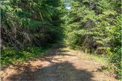 Hawk Meadows Rd #6, Carson, WA 98610 - Photo 4