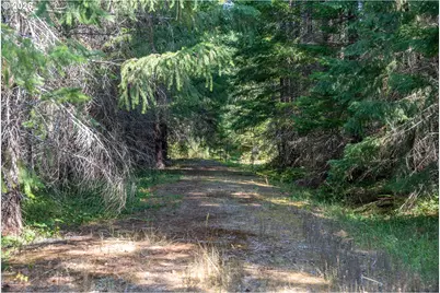 Hawk Meadows Rd #6, Carson, WA 98610 - Photo 40