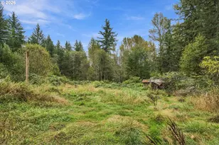 21803 NE 394th St, Amboy, WA 98601 - Photo 8