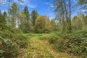 21803 NE 394th St, Amboy, WA 98601 - Photo 12