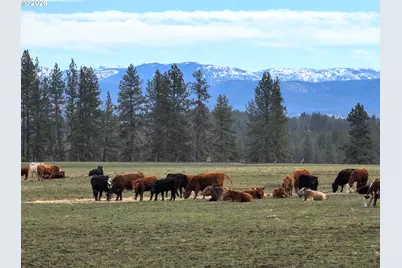 0 Yarrington Rd, Elgin, OR 97827 - Photo 18