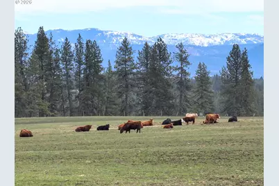 0 Yarrington Rd, Elgin, OR 97827 - Photo 1