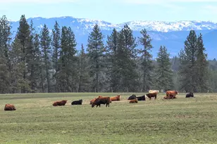 0 Yarrington Rd, Elgin, OR 97827 - Photo 1