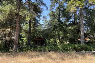 000 Puffin Ln, Manzanita, OR 97130 - Photo 6