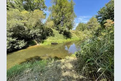 53621 Weekly Creek Rd, Myrtle Point, OR 97458 - Photo 42