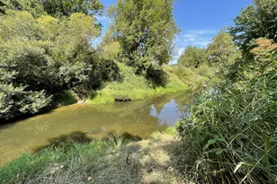 53621 Weekly Creek Rd, Myrtle Point, OR 97458 - Photo 42