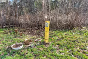 627 Canyon Rd, Lyle, WA 98635 - Photo 20