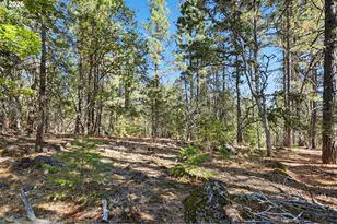 110 Goldenpine, Goldendale, WA 98620 - Photo 30