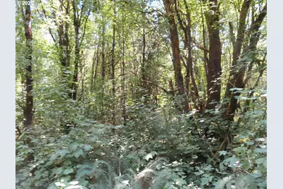 115 Campground Ln, Winlock, WA 98596 - Photo 16