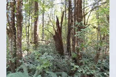 115 Campground Ln, Winlock, WA 98596 - Photo 2