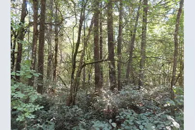 115 Campground Ln, Winlock, WA 98596 - Photo 6