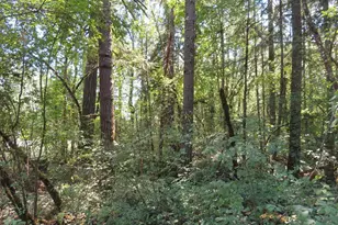 115 Campground Ln, Winlock, WA 98596 - Photo 1