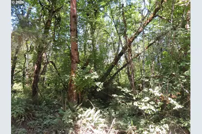 115 Campground Ln, Winlock, WA 98596 - Photo 18