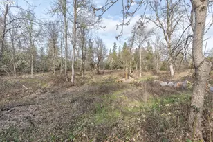 4420 Holland Loop Rd, Cave Junction, OR 97523 - Photo 42