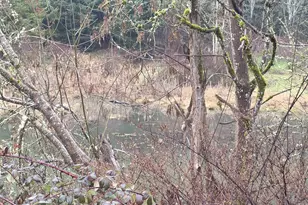 507 N 19th Ave, Cornelius, OR 97113 - Photo 32