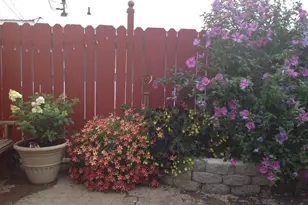 206 1/2 S Main St, Union, OR 97883 - Photo 10