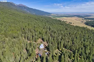 61216 Old Ski Run Rd, Joseph, OR 97846 - Photo 24