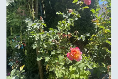 323 NW Pacific Hills Dr, Willamina, OR 97396 - Photo 24