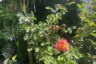 323 NW Pacific Hills Dr, Willamina, OR 97396 - Photo 24