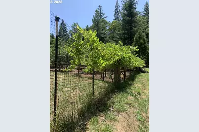 4580 Old House Creek Rd, Agness, OR 97406 - Photo 46