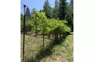 4580 Old House Creek Rd, Agness, OR 97406 - Photo 46