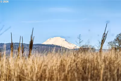 Dry Creek Rd, Mosier, OR 97040 - Photo 10