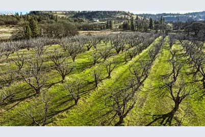 Dry Creek Rd, Mosier, OR 97040 - Photo 6