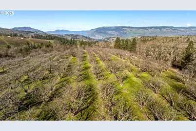Dry Creek Rd, Mosier, OR 97040 - Photo 8
