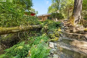 299 Wild Fern Dr, Winchester, OR 97495 - Photo 46